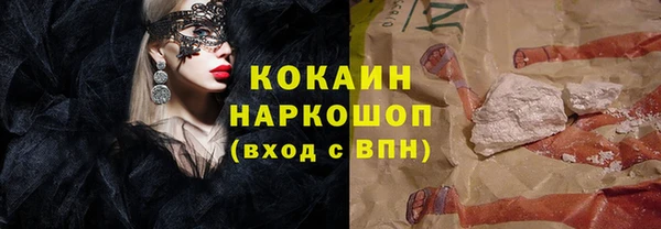 индика Алексин