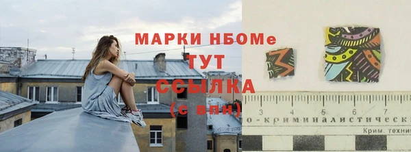 индика Алексин