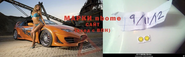 индика Алексин