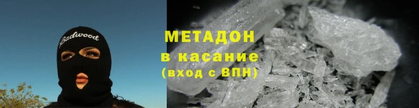 индика Алексин