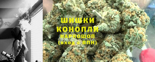 ПСИЛОЦИБИНОВЫЕ ГРИБЫ Алзамай