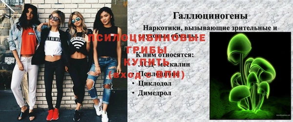 ПСИЛОЦИБИНОВЫЕ ГРИБЫ Алзамай