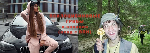 дживик Алексеевка
