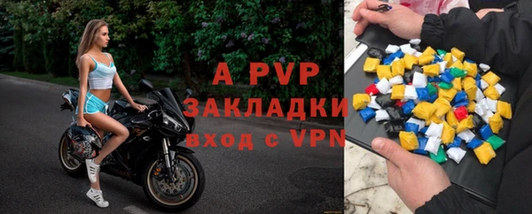 индика Алексин