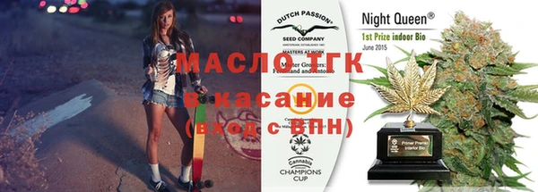 индика Алексин