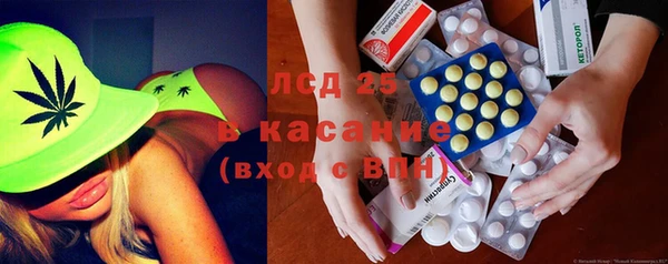 ПСИЛОЦИБИНОВЫЕ ГРИБЫ Алзамай