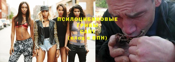дживик Алексеевка