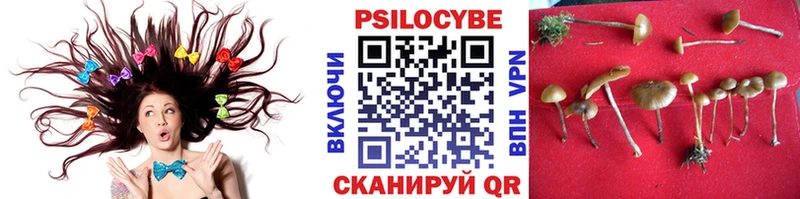 Галлюциногенные грибы Cubensis купить цена Далматово