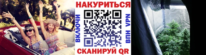Шишки марихуана OG Kush  где можно купить   Далматово 